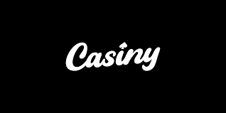 Discover the Exciting Features of Casiny App 56