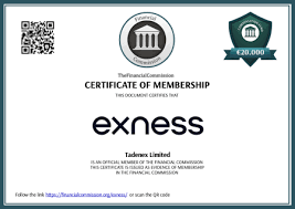 Free Download Exness MT4 for Trading Success 1