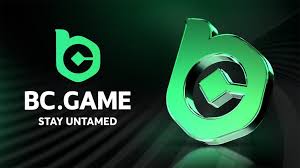 Understanding BC Game Withdrawal A Complete Guide Understanding BC Game Withdrawal A Complete Guide
